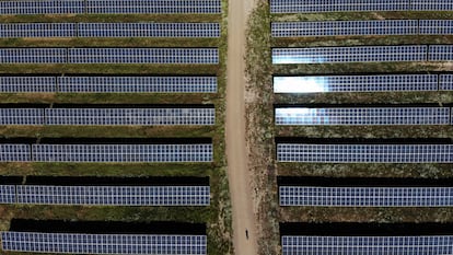 Una planta fotovoltaica en la provincia de Cáceres.