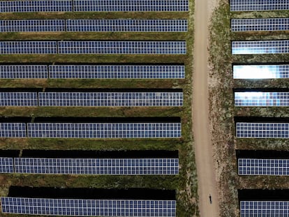 Una planta fotovoltaica en la provincia de Cáceres.