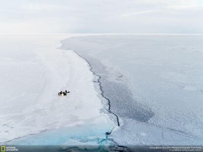 Un pequeño grupo de pingüinos emperador se aproxima al borde de un mar de hielo, en el mar de Ross, una bahía profunda entre el océano Glaciar Antártico y la Antártida. Brian Stetson, autor de la instantánea, la titula "El fin del mundo".