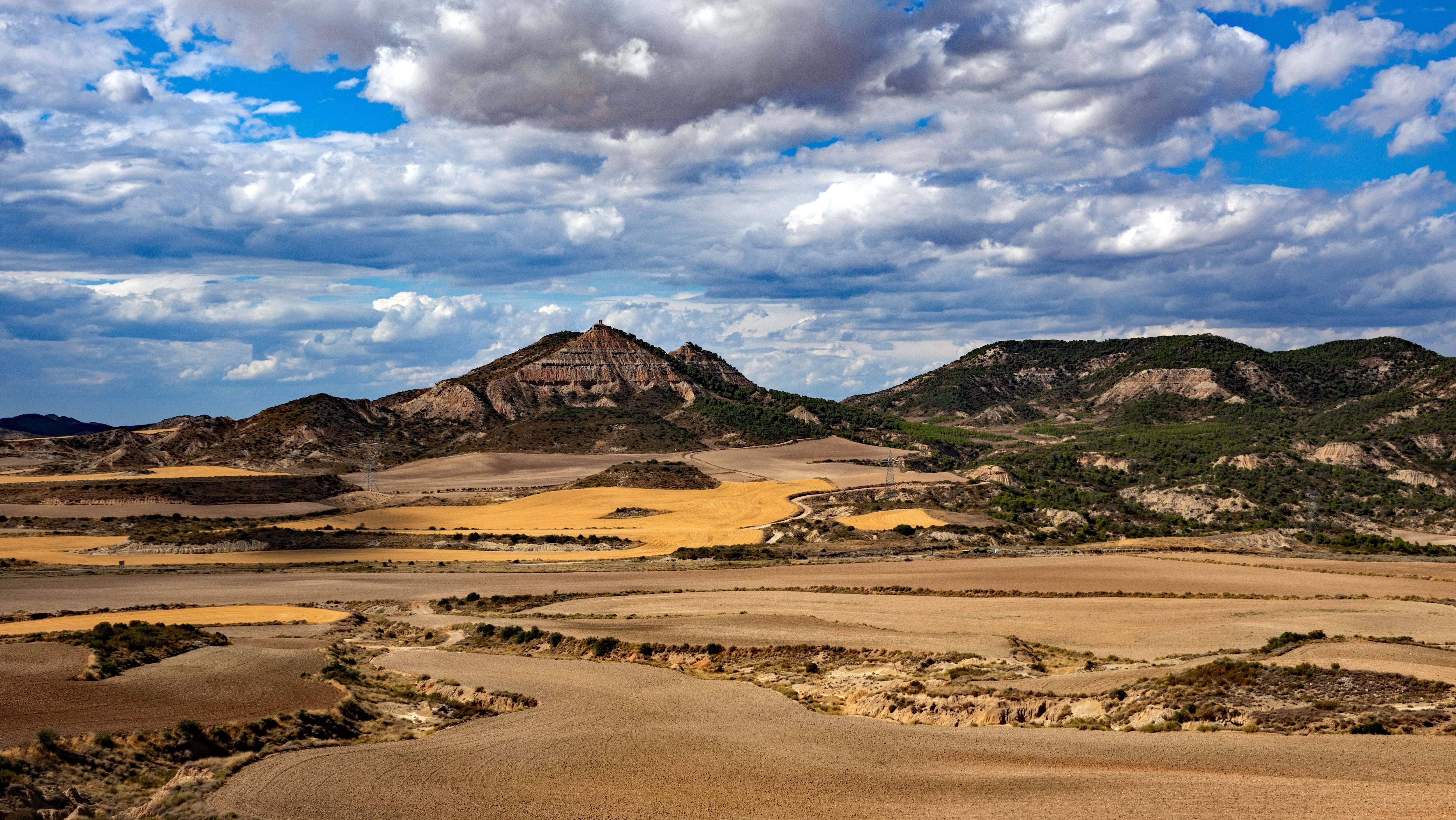 Pastoreo contra la desertificación: restaurar la naturaleza no siempre significa plantar árboles