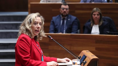 La consejera Belarmina Díaz, el martes cuando anunció en el Parlamento asturiano su dimisión.