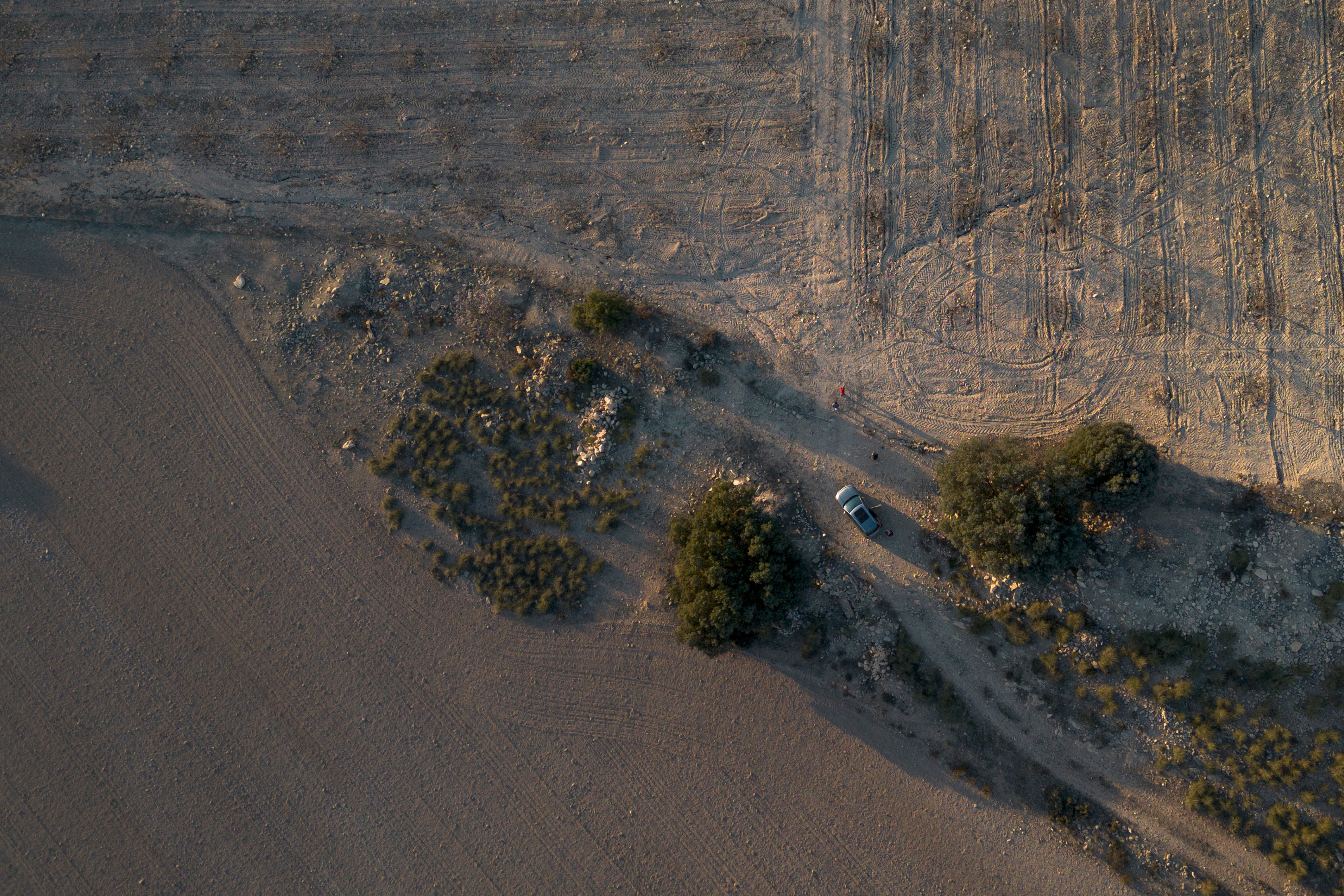 Vista aérea de las plantaciones de almendros en la finca El Entredicho. 