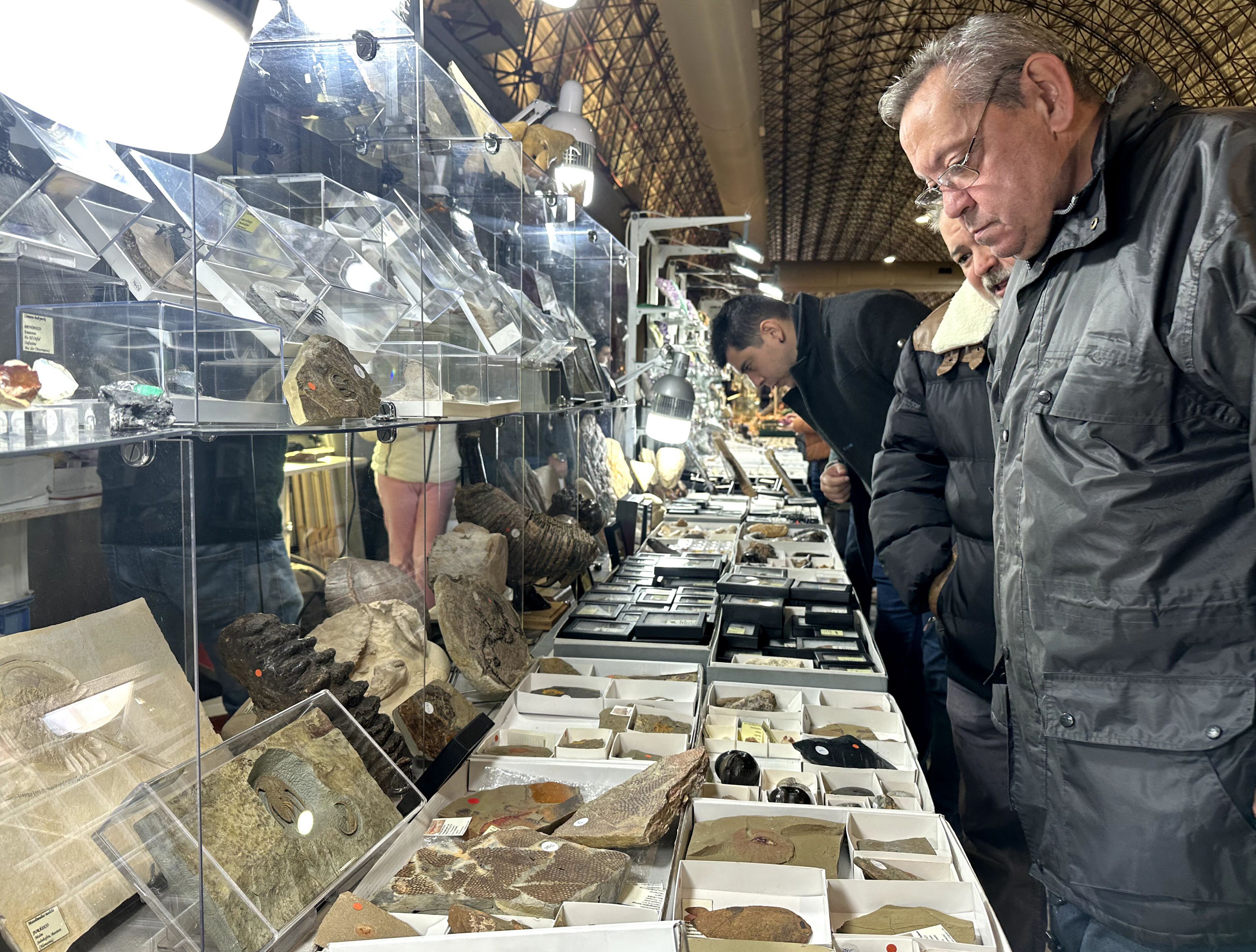 Feria Internacional de Minerales, Fósiles y Meteoritos.