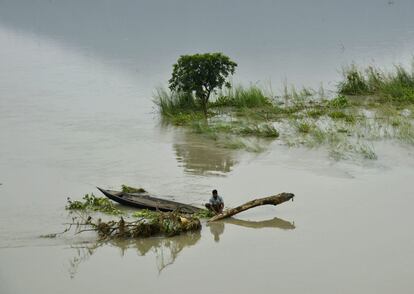 Crecida del río Brahmaputra debido a las inundaciones en el estado indio de Assam. En la imagen, un hombre corta un árbol para leña en las aguas del río tras las fuertes lluvias.