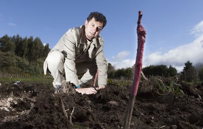 Marcial Pita, sobre las tierras de Esmelle (Ferrol) donde cultiva cepas de blanco leg&iacute;timo.
