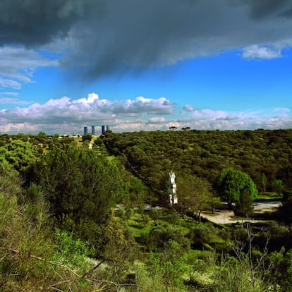 Una imagen del monte de El Pardo y la tapia histórica que lo rodea tomada desde el palacete de la Quinta.