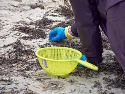 Los voluntarios recogen el pellet en las playas de Galicia con coladores, cubos y guantes.