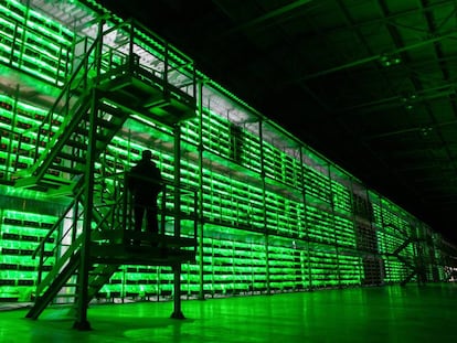 Un guardia armado recorre las instalaciones del BitRiver Rus LLC, la granja de bitcoins más grande de Rusia, ubicada en Bratsk. Estas instalaciones albergaron antaño el mayor centro de datos de la URSS. Hoy tiene clientes
 de Japón, China o EE UU, la mayoría de ellos mineros de bitcoin.