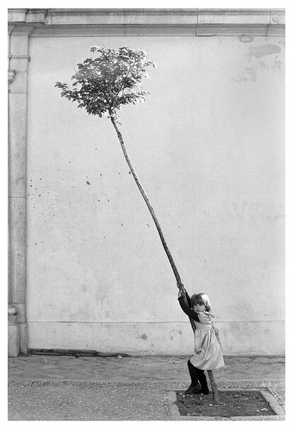 'Niña y arbolillo'. España, 1981.