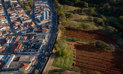 Covas no cemitério de Vila Formosa, na zona leste de São Paulo, próximo à área urbana.