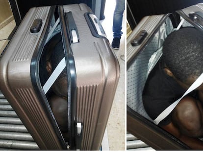 The suitcase with the 19-year-old inside.