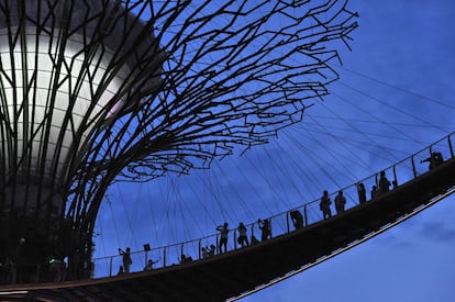 Turistas recorren y hacen fotos en uno de los puentes de los 'Superárboles' del Jardín de la Bahía en Singapur (Malasia).