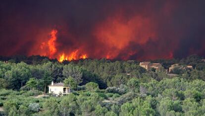 El incendio dedel Alt Empord&agrave; en las cercan&iacute;as de Palau Surroca.