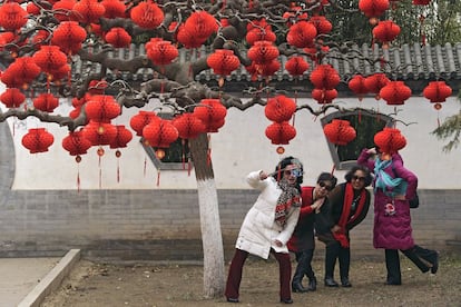 Um grupo de mulheres chinesas faz uma selfie junto a uma árvore decorada com luminárias temáticas para as celebrações do início do Ano do Porco, em Ditan Park, Pequim.