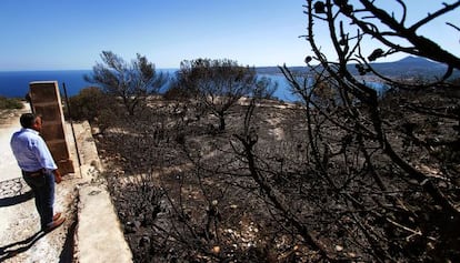 El alcalde de X&agrave;bia, Jos&eacute; Chulvi, visita una de las zonas quemadas el d&iacute;a del incendio.