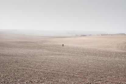 Valle del Alto Tajo, Enero 2018.