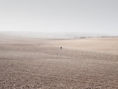 Valle del Alto Tajo, Enero 2018.