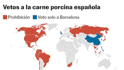 Mapa de los vetos por la peste porcina: ¿qué países restringen y cuáles prohíben del todo la importación de carne de cerdo española?