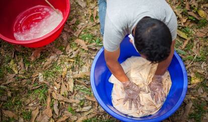 Preparaci&oacute;n de mosquiteras.contra la malaria en Bangla Desh en 2014.