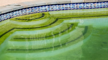 limpiar agua verde de la piscina con un limpiador químico disuelto en agua.