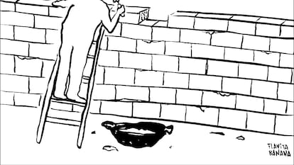 Flavita Banana: otro muro