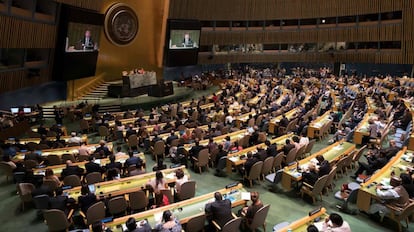 Plenario de la Asamblea General de las Naciones Unidas