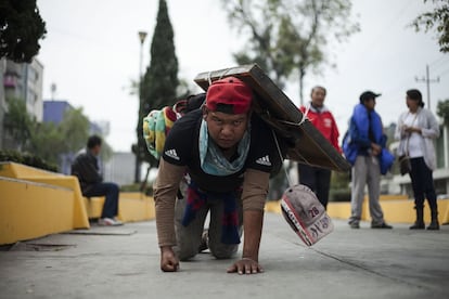 Un peregrino se dirige de rodillas hacia la Basílica de Guadalupe