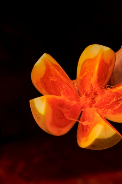 El zapote o zapote suramericano (Matisia cordata) es un fruto tropical de la familia de las Malvaceae que comparte races con el cacao, la okra y el extico durin.