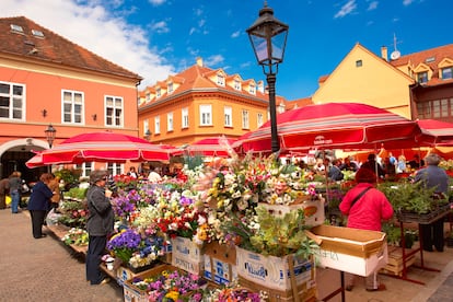 El mercado de flores Dolac en Zagreb, Croacia. 