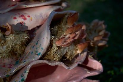 La instalación presenta una obra colaborativa entre la artista, los voluntarios y el reino fungi.