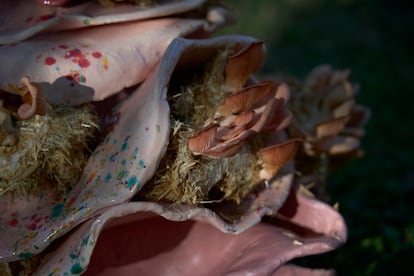 La instalación presenta una obra colaborativa entre la artista, los voluntarios y el reino fungi.
