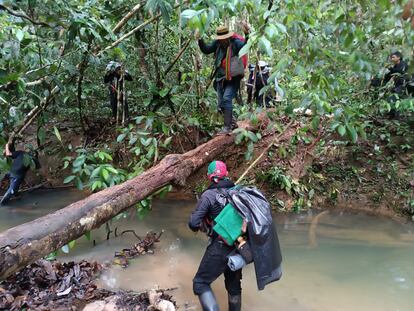 Luis Acosta con sus compañeros en la selva, durante los días de búsqueda.