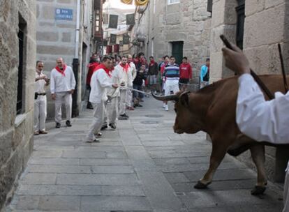 La 'Festa do Boi' conmemora la hazaña de Xan de Arzúa, que puso punto y final a las burlas de los judíos acerca de la celebración del Corpus