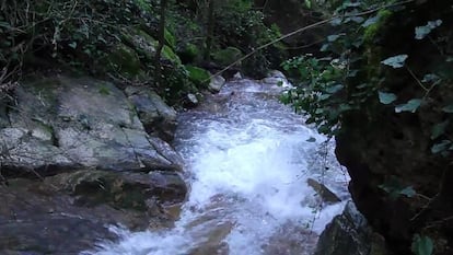 Zona de Baños de Popea donde fue localizado el cuerpo del menor ahogado. 