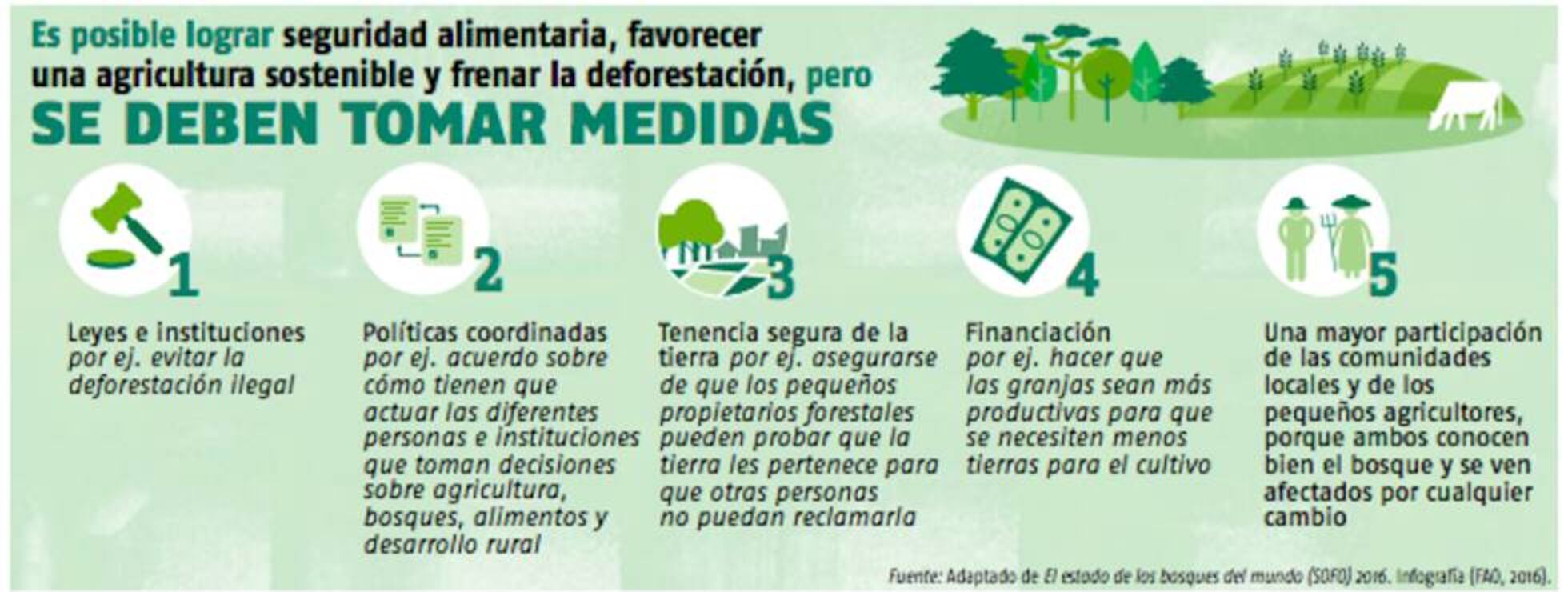 Este libro te guía por la magia de los bosques | Planeta Futuro | EL PAÍS