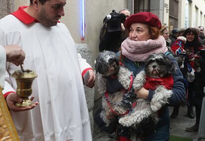 Como cada 17 de enero, los animales han sido los protagonistas del día de San Antón y han recibido la bendición para gozar de buena salud y bienestar durante todo el año.