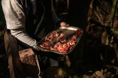 La alimentación de los animales rescatados está diseñada por una nutricionista especializada.
