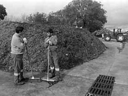 Dos operarios, en los viveros de la Casa de Campo, en una imagen de archivo.