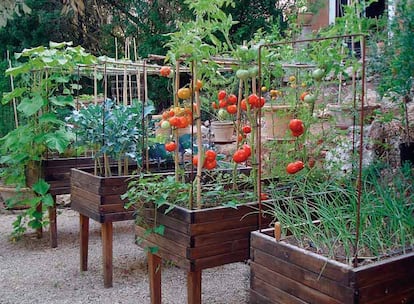 Un huerto en la terraza