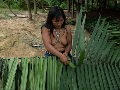Sara Beso Dunu weaves some palm leaves for the roof of her house. Her father was one of the Matsé in voluntary isolation until he was contacted by missionaries in 1969.