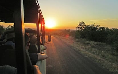 Recorrido en todoterreno por el interior del parque nacional Kruger, en Sud&aacute;frica.  