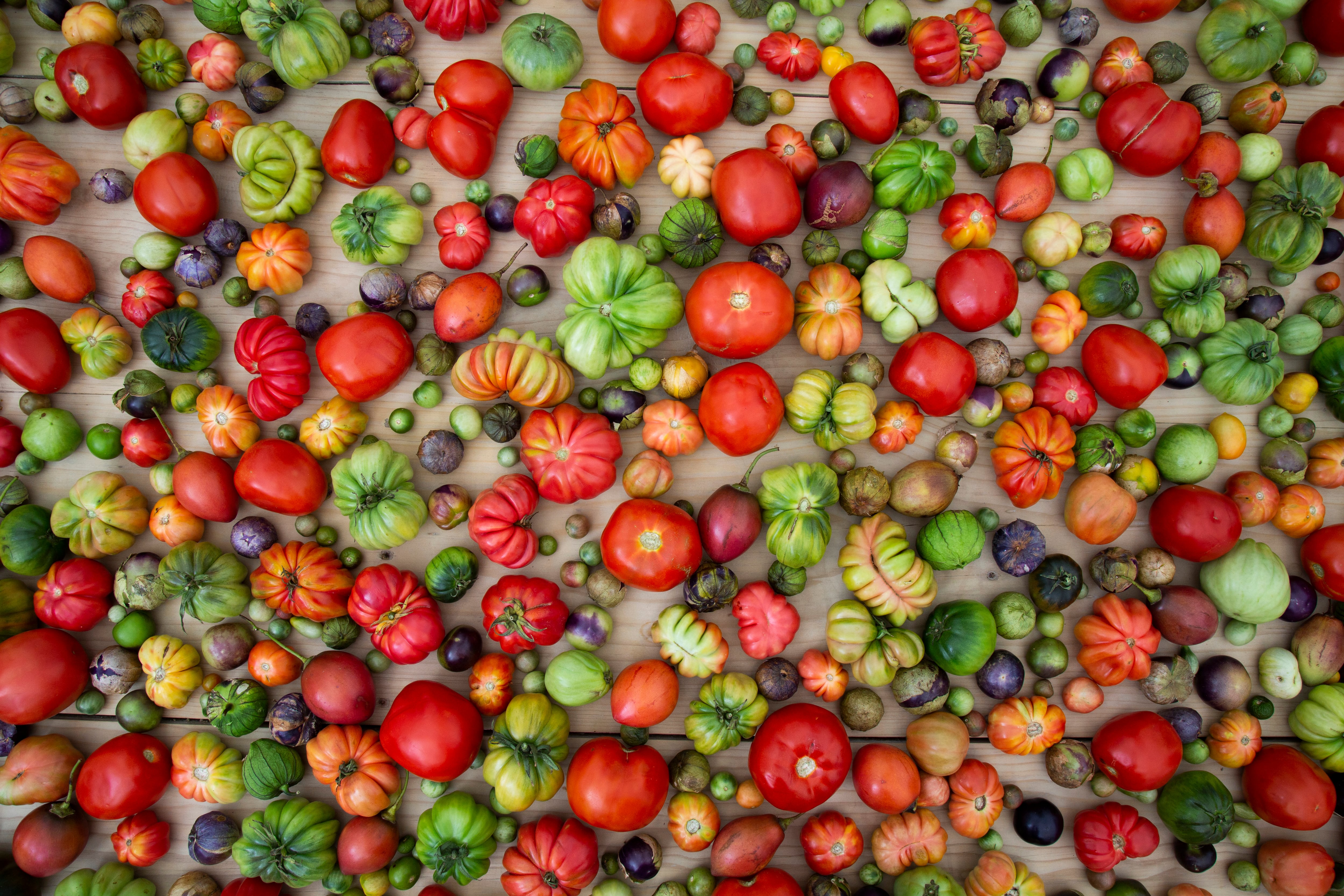 En Levadura de Olla sirven distintos tipos de tomates oaxaqueños.