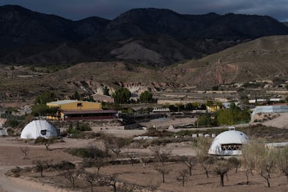 Several of the cave houses on the grounds of the Mahasandhi Foundation, among almond trees.