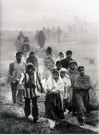 Mujeres se dirijen a su trabajo en el delta de la desembocadura del Ganges a la altura de Bangladesh.