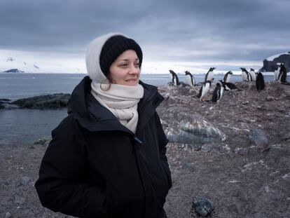 Marion Cotillard na Antártida