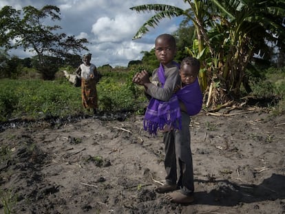 Unos niños de la aldea de Nacole, Mozambique, ayudan en los cultivos de su madre.