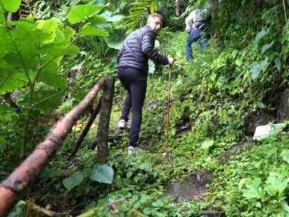 Visitamos Santa Cruz Tepetotutla con @enriquealex, una comunidad que vive por y para la conservación de su entorno natural, en la región oaxaqueña de la Chinantla