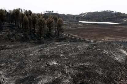 Aspecto de la sierra de Tafalla tras el incendio, este jueves.