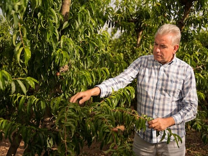 Jordi Ametller, copropietario del grupo agroalimentario Ametller Origen.