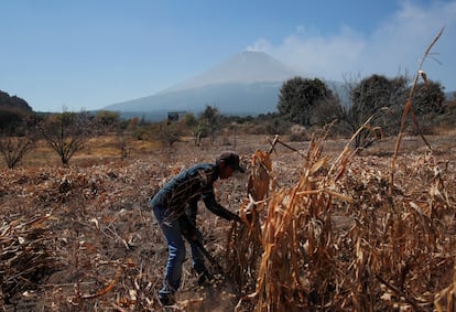 El Popocatépetl inició este periodo de actividad a principios de diciembre de 2022, sin embargo, las recientes explosiones y exhalaciones, más vistosas que las de semanas anteriores, han vuelto a poner el foco en el volcán. En la imagen, un agricultor trabaja en un terreno en el municipio poblano de Xalitzintla, mientras el Popocatépetl exhala una columna de vapor.